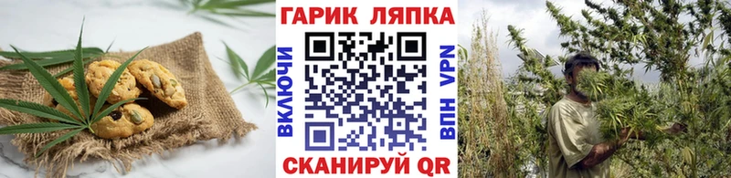 Купить где  Новоржев  Canna-Cookies конопля 