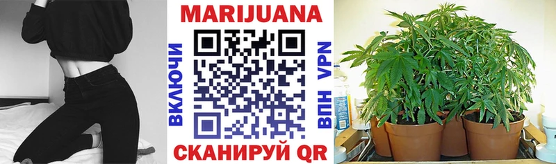 Купить где  Новоржев  Бошки Шишки марихуана 